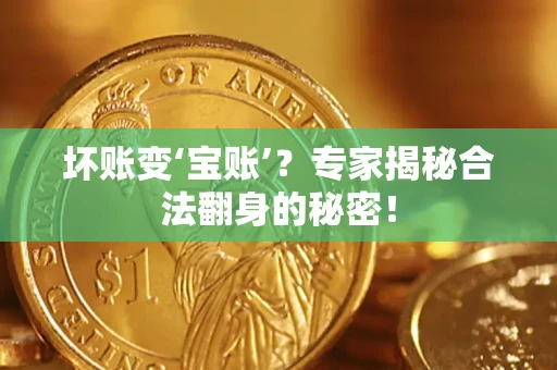 北京坏账变‘宝账’？专家揭秘合法翻身的秘密！