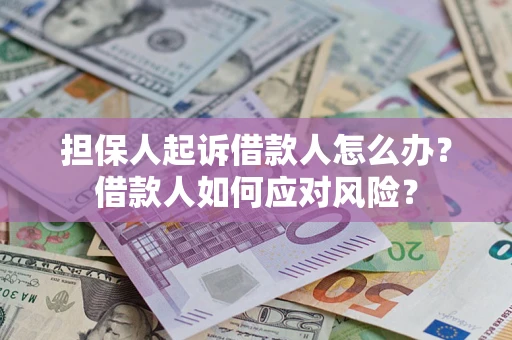 北京担保人起诉借款人怎么办？借款人如何应对风险？